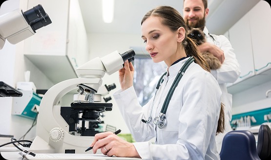 Lab Testing